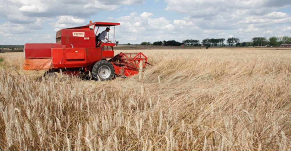 Żniwny przegląd zakończony