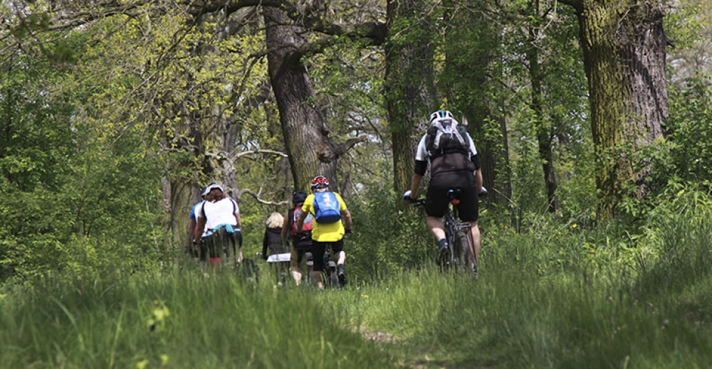 Rowerem po Dolinie Baryczy