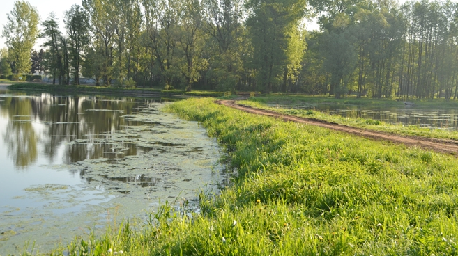 O krok od utonięcia