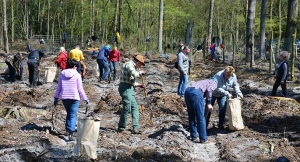 Posadzili samorządowy las[gallery]