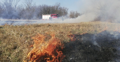 Wypalanie traw jest niedozwolone