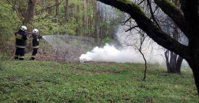 Ćwiczenia na obszarach leśnych[gallery]