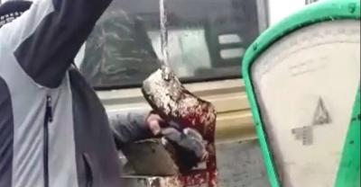 Mężczyzna ucinał rybom głowy tępą gilotyną