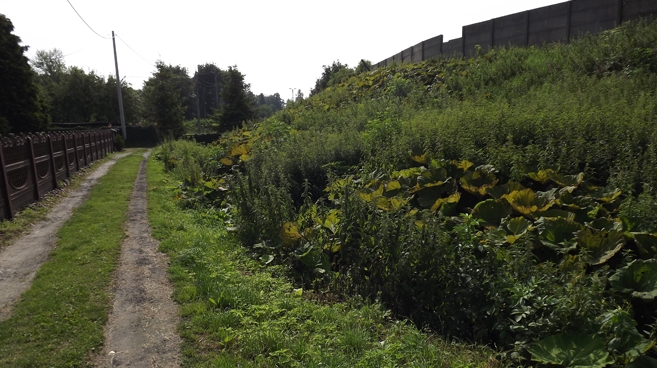 Droga osuwa się zdaniem mieszkańców w stronę rzeki podczas opadów śniegu i deszczu