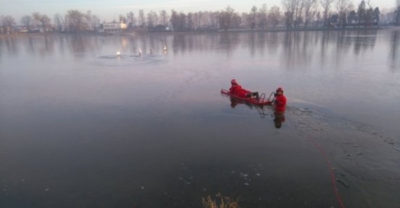 Strażacy ratowali łabędzie