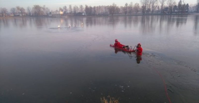 Strażacy ratowali łabędzie