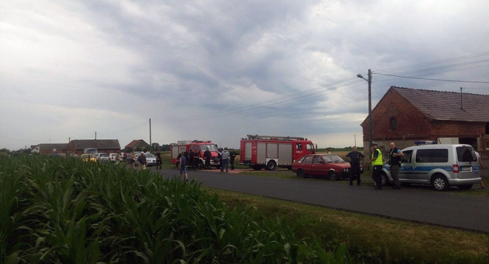 3-letnie dziecko w kukurydzy