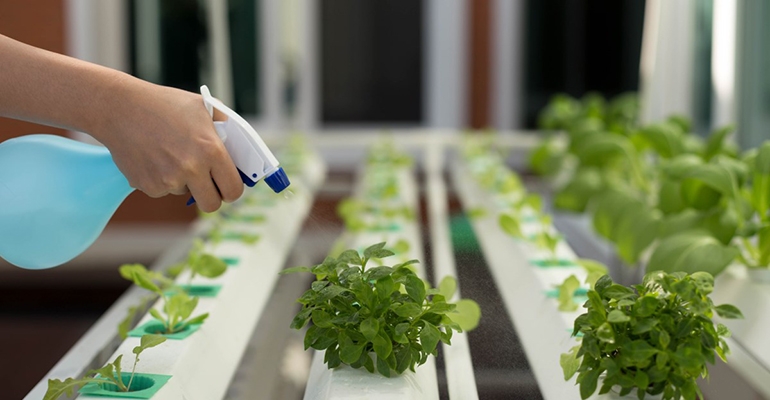 Rolnik ma obowiązek zwrócić puste opakowania po środkach do sklepu