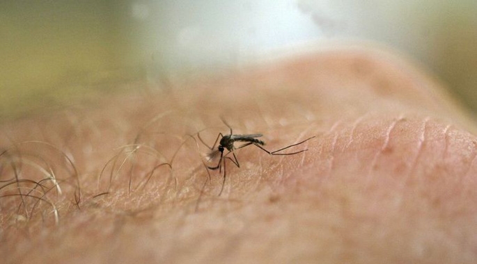 Nie pozwól dziecku drapać bąbli, bo to może doprowadzić do powstania ranek i nadkażeń bakteryjnych