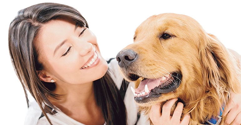 Polisa OC – nie tylko dla kierowców