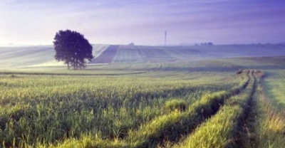 Pieniądze na restrukturyzację małych gospodarstw