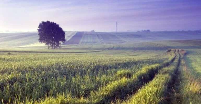 Pieniądze na restrukturyzację małych gospodarstw