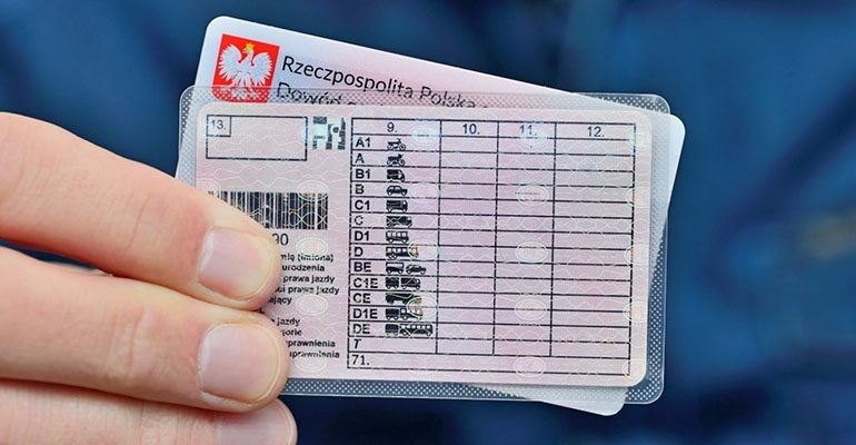 Więcej nowych kierowców i samochodów