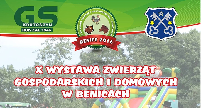 Jubileuszowa wystawa w Benicach