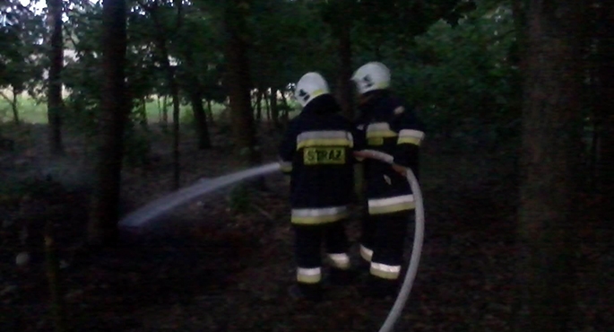 Pożar ściółki leśnej