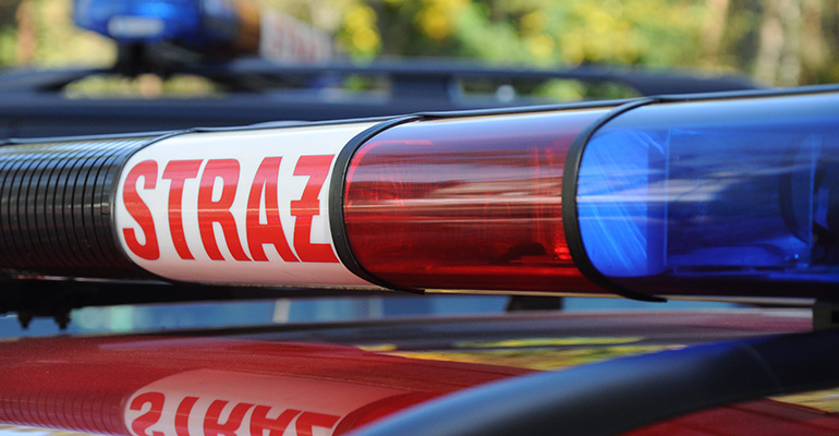 Usunęli nadłamane drzewo