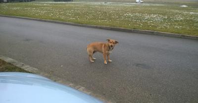 Za kierownicą musimy zachować szczególną ostrożność