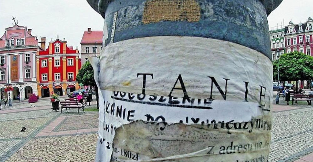 Na drzewie zamiast na tablicy?