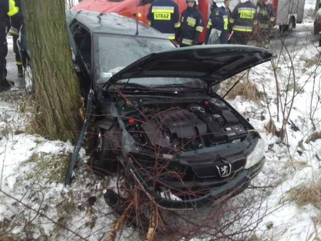 Peugeot uderzył w drzewo [gallery]