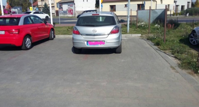 Mistrz parkowania 14