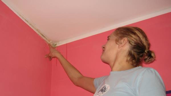 Jak usunąć grzyb ze ścian?