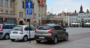 Mistrz parkowania 53