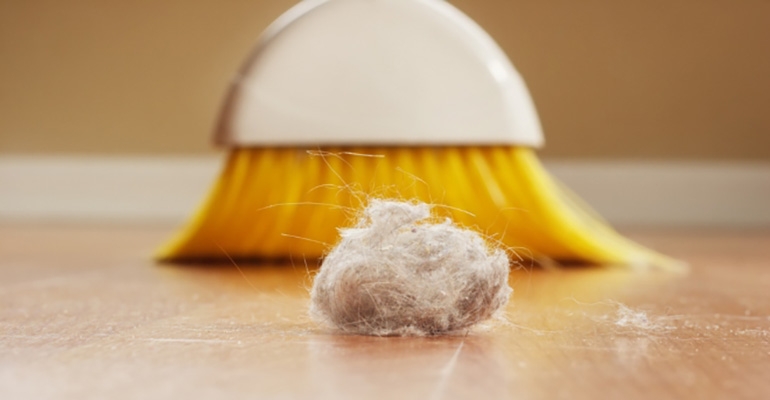 Jak się pozbyć kurzu