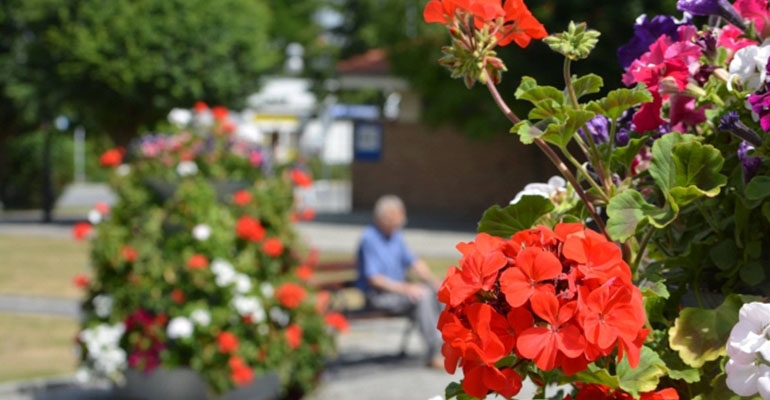 Ukwiecony Milicz za 35 tys. zł