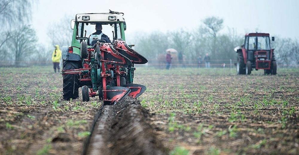 Ile kosztuje ziemia rolna?