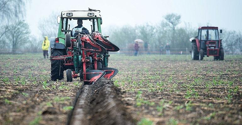 Ile kosztuje ziemia rolna?