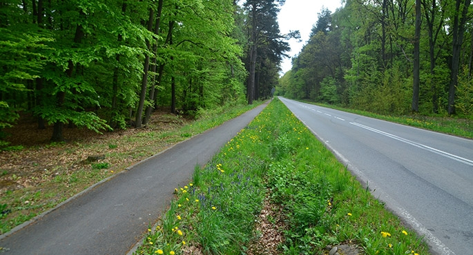 Jest wąsko i jeszcze chwasty rosną