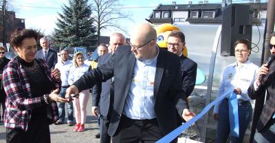 Pszczółka w Krotoszynie