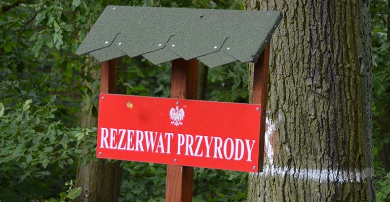 Dąbrowa Smoszew – miejsce wyjątkowe