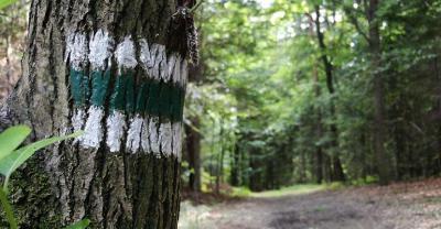 Krotoszyn – Zduny (11,9 km)