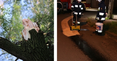 Zwisają konar i plama oleju