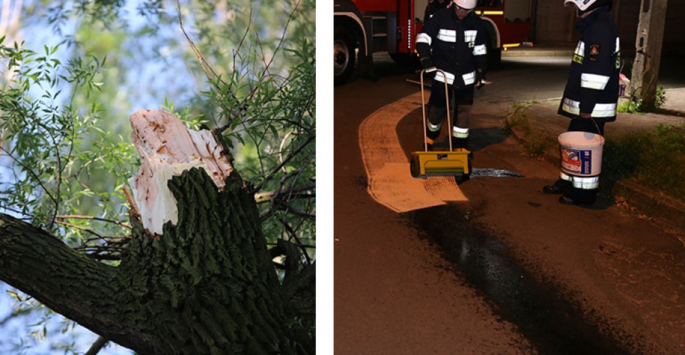 Zwisają konar i plama oleju