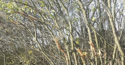 Niebezpiecznie na powiatówkach