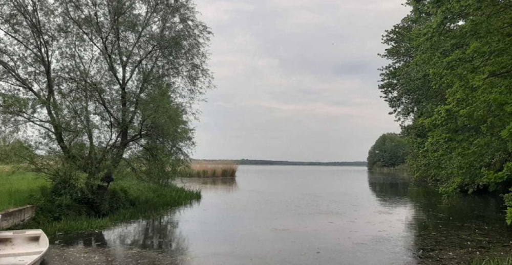 Nie ustalili jeszcze, co zatruło Barycz