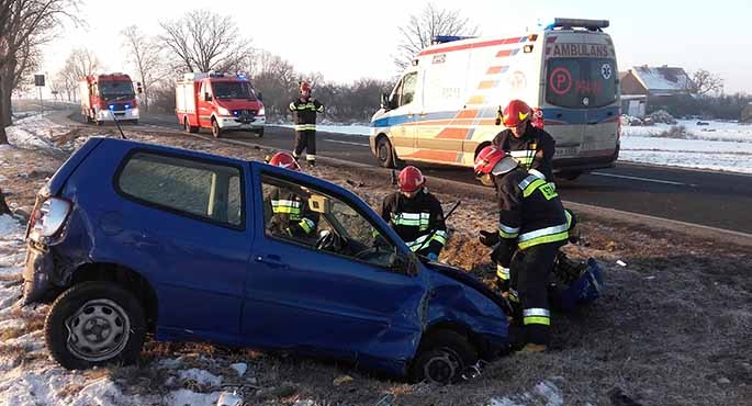 Chciała ominąć sarnę